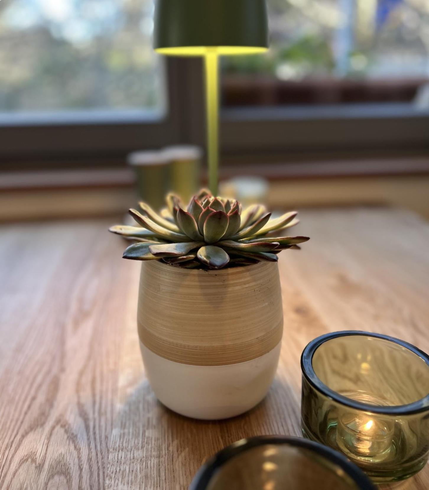 Zuhause Auf Zeit In Apartment