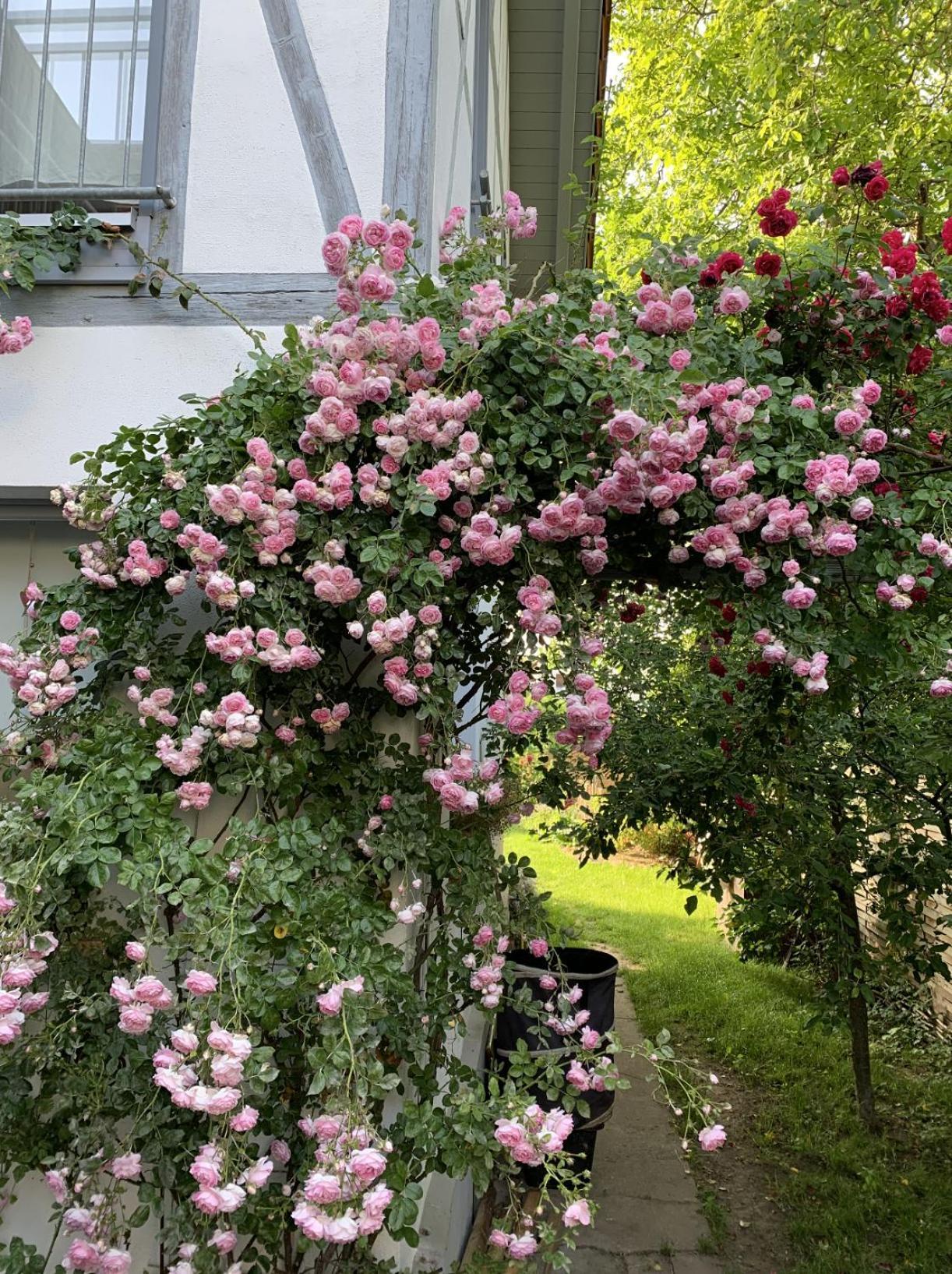 Zuhause Auf Zeit In